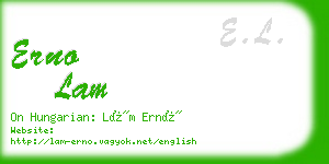 erno lam business card